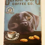 Costa Brava * パルス