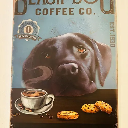 Costa Brava * パルス